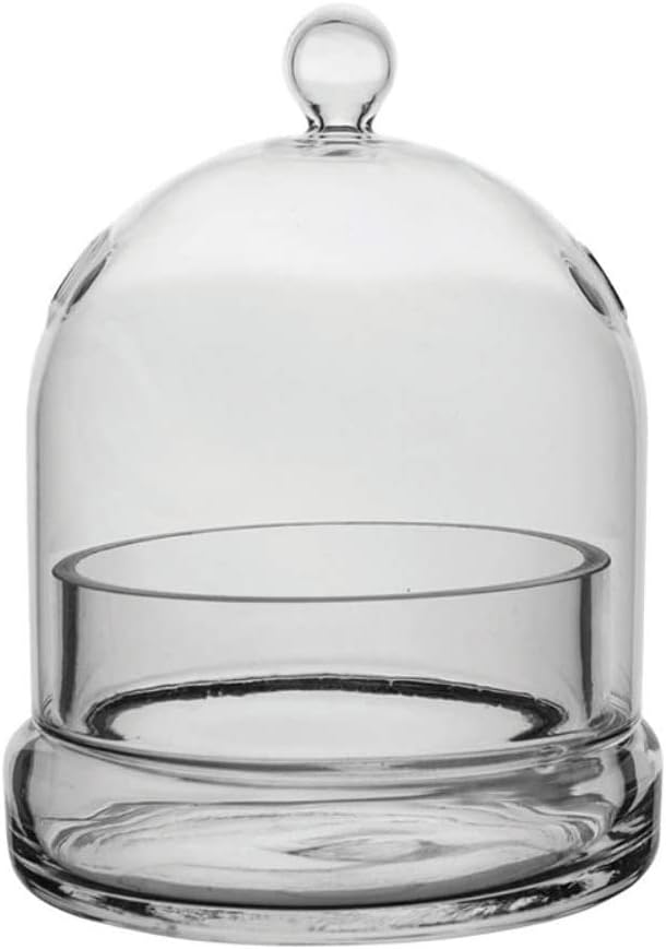 Syndicate Terrarium Cloche