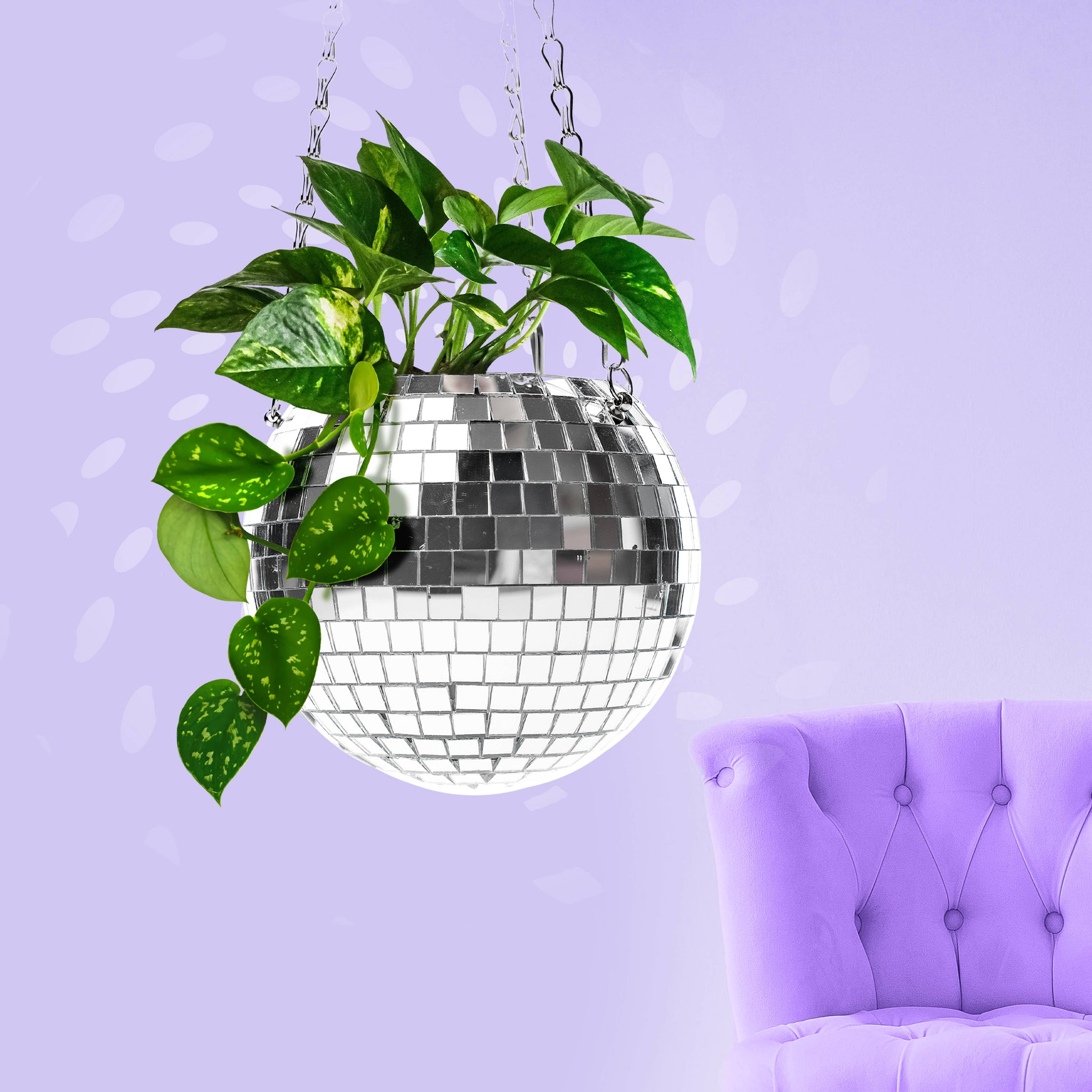disco hanging planter Disco Hanging Planter – Ivy and Vines Boutique