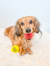 Load image into Gallery viewer, Fetch and Glow Ball
