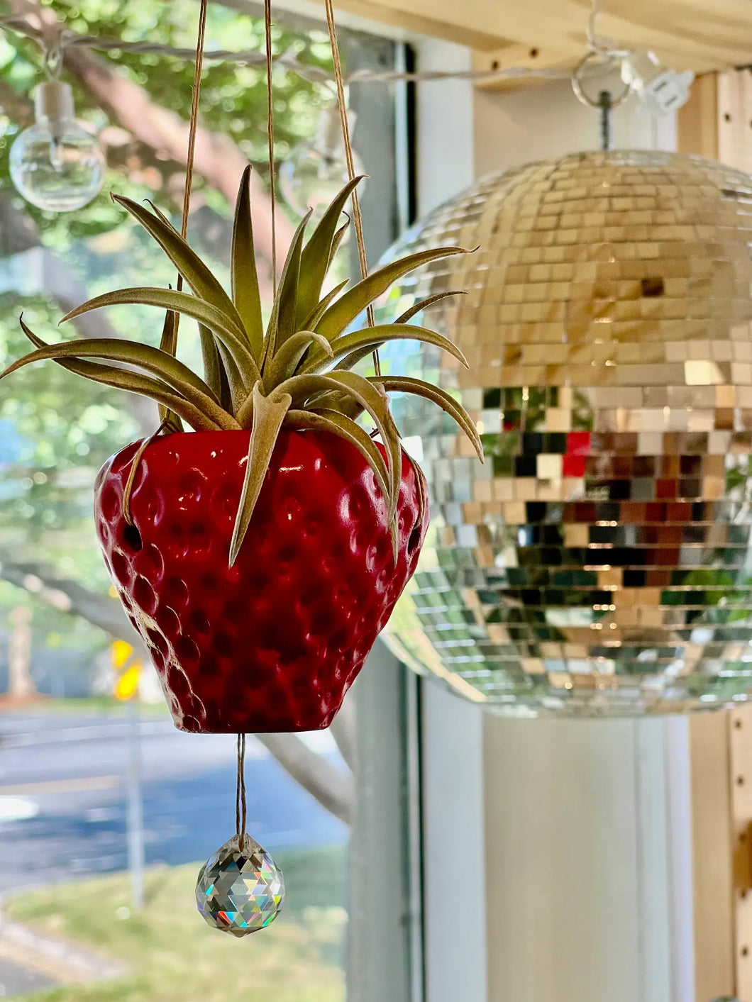 Suncatcher Strawberry Planter