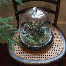 Load image into Gallery viewer, Syndicate Terrarium Cloche
