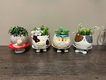 Load image into Gallery viewer, Snail &amp; Mushroom Footsie Planter

