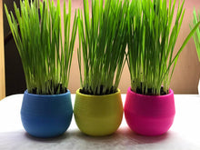 Load image into Gallery viewer, Cat Grass Garden Balls
