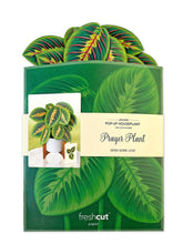 Load image into Gallery viewer, Prayer Plant Pop-up Greeting Cards
