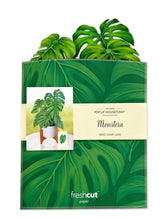 Load image into Gallery viewer, Monstera Plant (8 Pop-up Greeting Cards)
