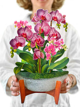 Load image into Gallery viewer, Orchid Oasis (8 Pop-up Greeting Cards)
