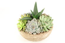 Load image into Gallery viewer, LITE Stone Arrangements Small Dish Garden
