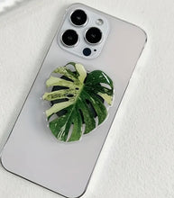 Load image into Gallery viewer, Plant Phone Holder
