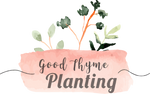 Good Thyme Planting