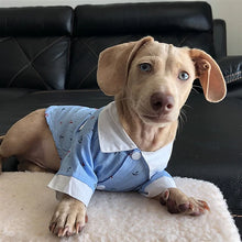 Load image into Gallery viewer, Anchor Shirt - Blue Pet
