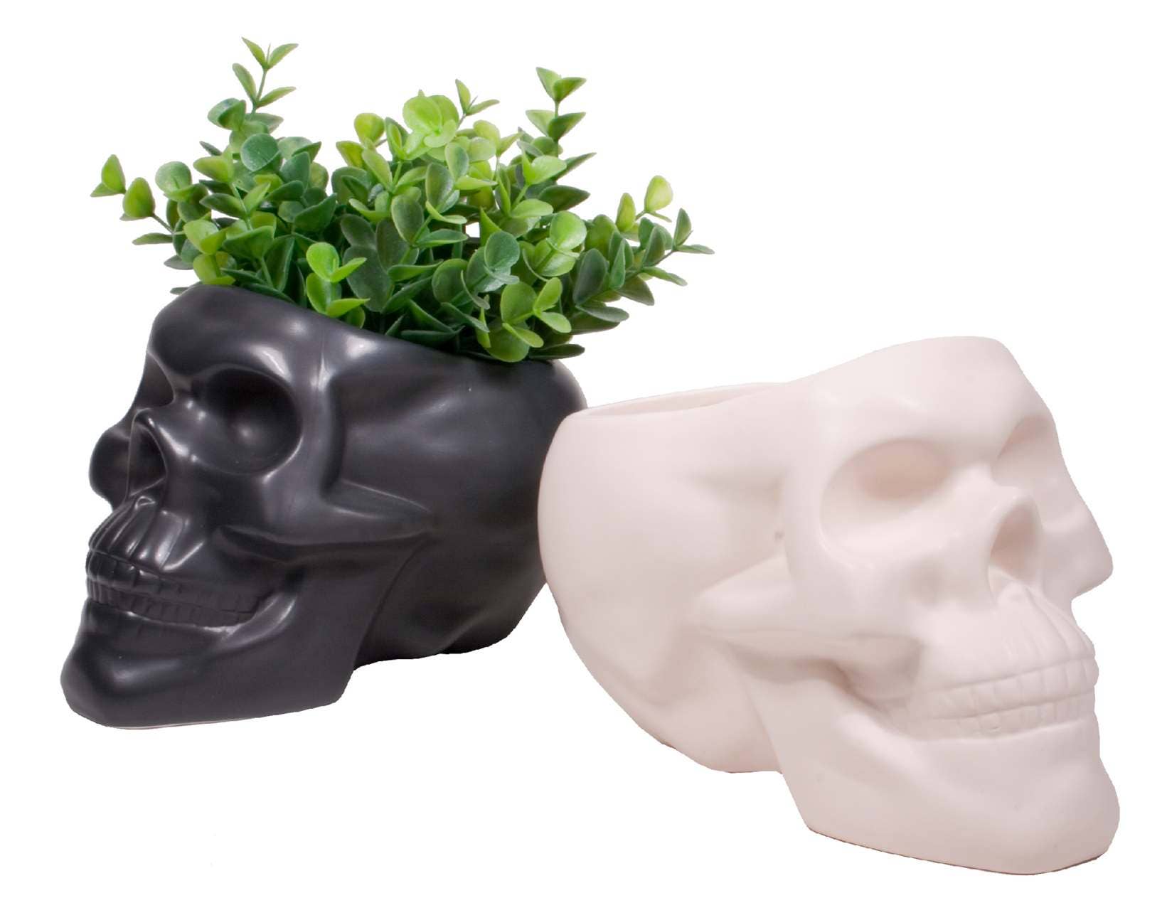 plastic skull planter Bone Skull Planter – Ivy and Vines Boutique