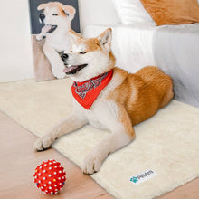 Load image into Gallery viewer, Fluffy Pet Blanket
