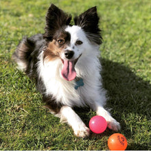 Load image into Gallery viewer, Fetch and Glow Ball
