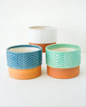 Load image into Gallery viewer, Two Color Leaf Vein Pot
