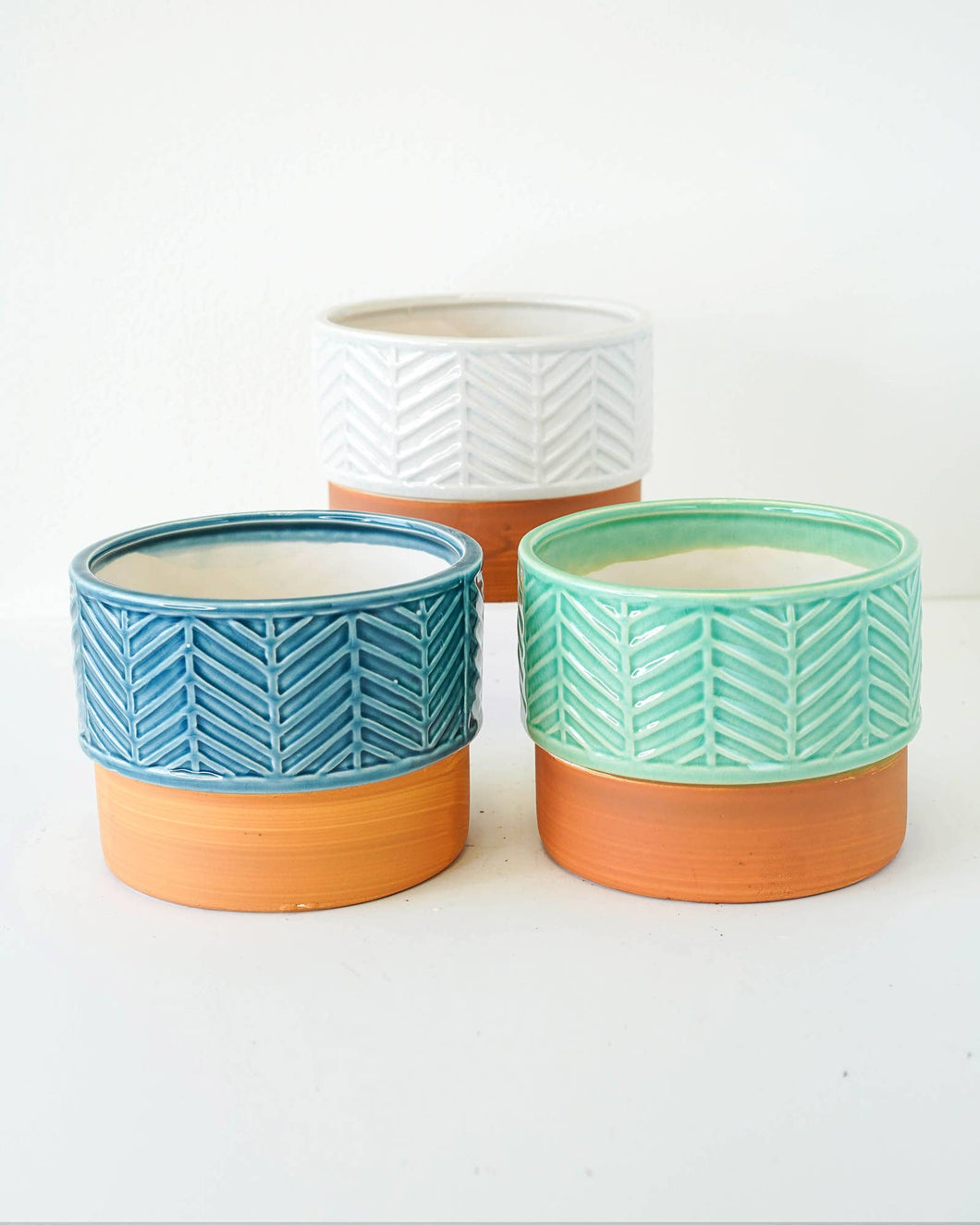 Two Color Leaf Vein Pot