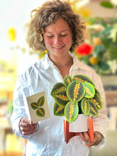 Load image into Gallery viewer, Prayer Plant Pop-up Greeting Cards
