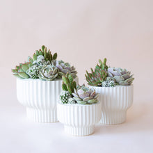 Load image into Gallery viewer, Presley Pedestal Pot - White: 8 inch
