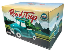 Load image into Gallery viewer, Road Trip Truck Planter
