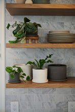 Load image into Gallery viewer, EASTON POT
