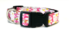 Load image into Gallery viewer, Dog Collars
