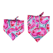 Load image into Gallery viewer, Furbud - Summer Pet Bandana
