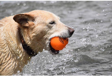 Load image into Gallery viewer, Fetch and Glow Ball

