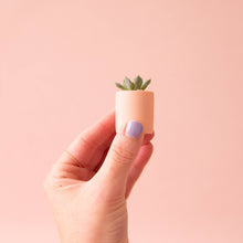 Load image into Gallery viewer, Tiny Pot - Peach
