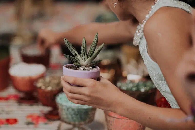 Additional Person For Med Succulent Arragement