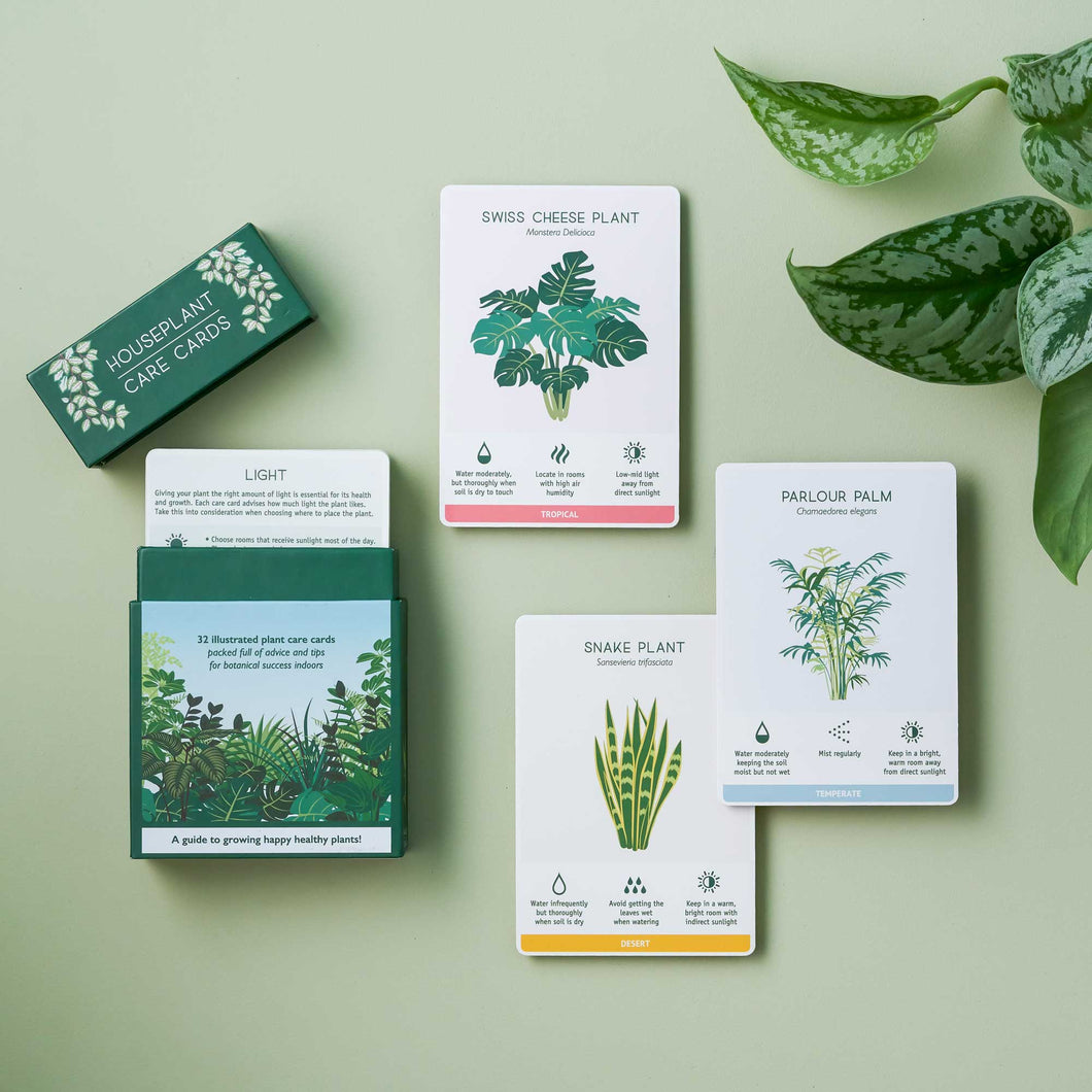 Houseplant Care Cards, botanical tips & advice