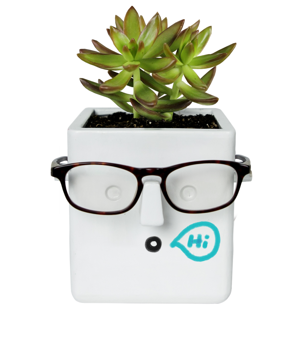 Face Plant Planter