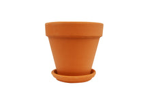 Load image into Gallery viewer, Terra Cotta Planters
