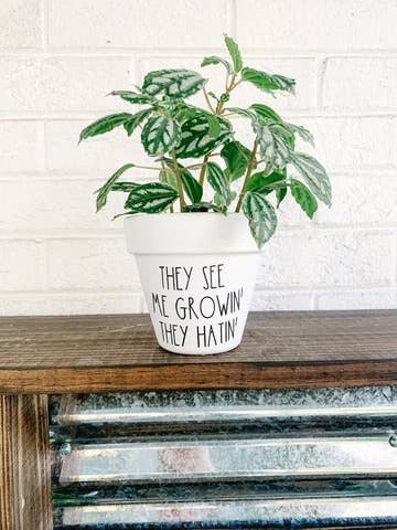 They See Me Growin' They Hatin' Plant Pot