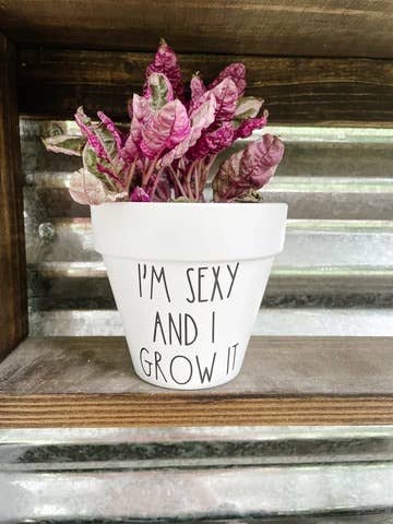 I'm Sexy and I Grow It Plant Pot