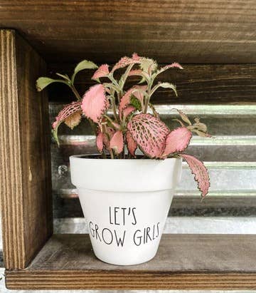 Let's Grow Girls Plant Pot
