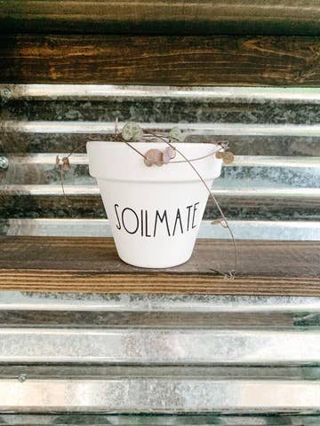 Soilmate Plant Pot