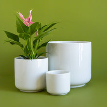 Load image into Gallery viewer, Charlie Pot - White: 3 inch
