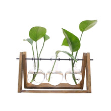 Load image into Gallery viewer, Plant Terrarium Wooden Stand Glass Bottle
