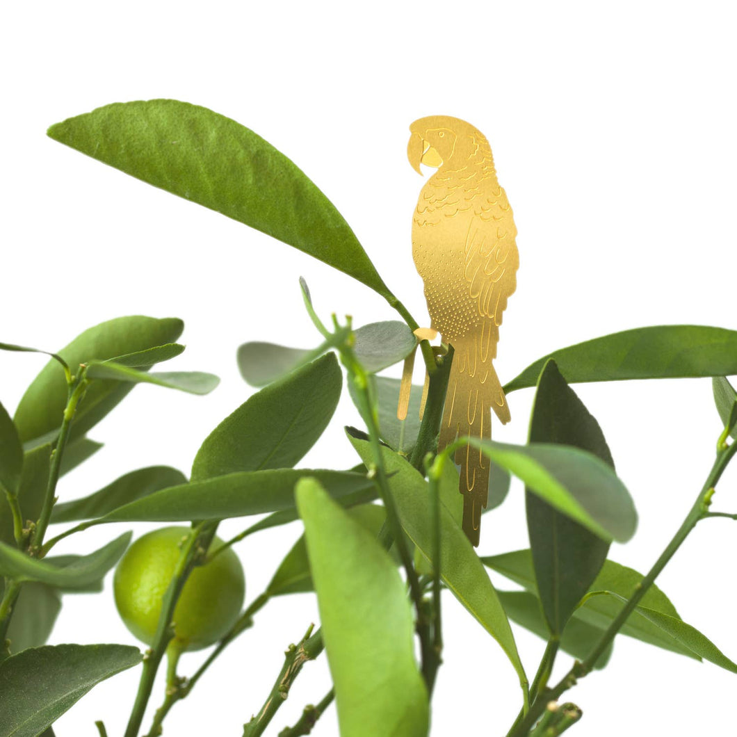 Plant Animal Houseplant Accessory - Parrot