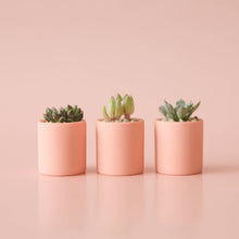 Load image into Gallery viewer, Tiny Pot - Peach

