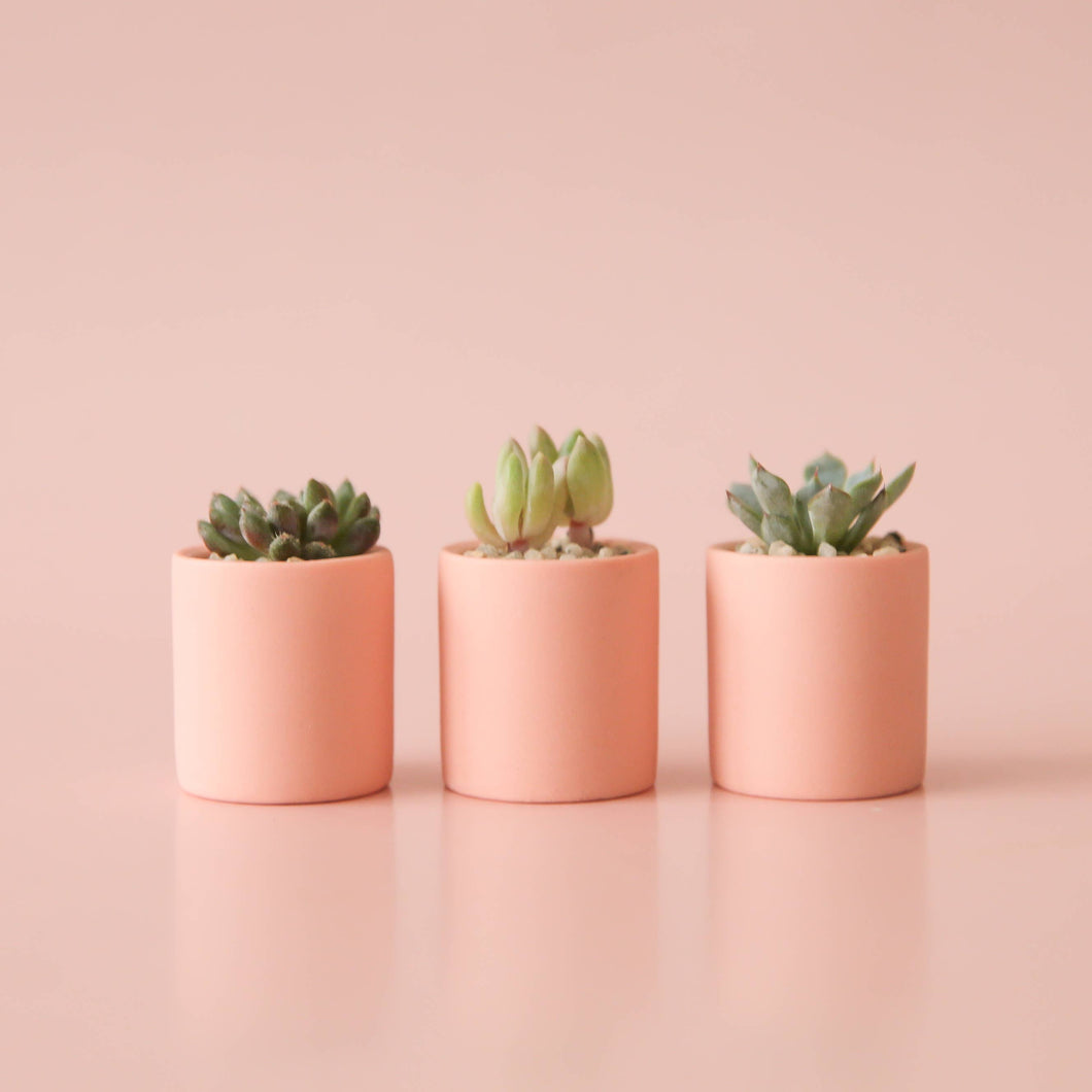 Tiny Pot - Peach