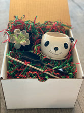 Load image into Gallery viewer, Animal Planter Succulent Kit in a box
