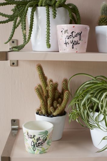 keep growing plant pot Keep on Growing Pot