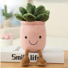 Load image into Gallery viewer, Smiling Face Succulent Shaped Plant Potted Doll
