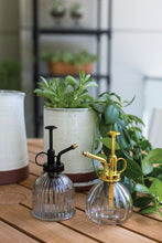 Load image into Gallery viewer, Glass Plant Mister
