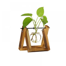 Load image into Gallery viewer, Plant Terrarium Wooden Stand Glass Bottle
